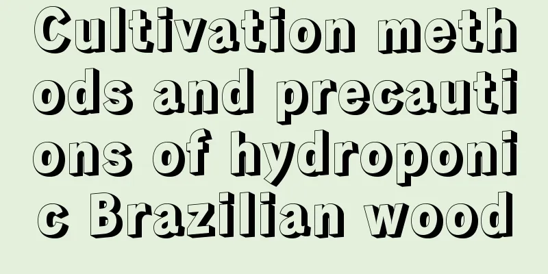 Cultivation methods and precautions of hydroponic Brazilian wood