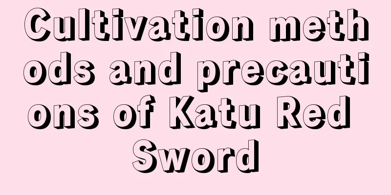 Cultivation methods and precautions of Katu Red Sword