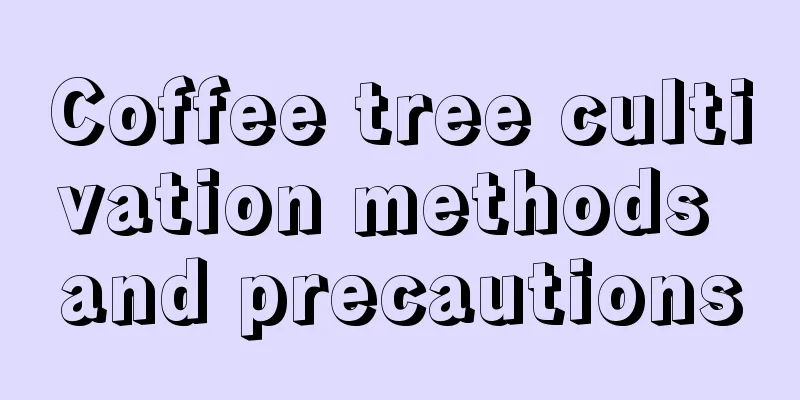 Coffee tree cultivation methods and precautions