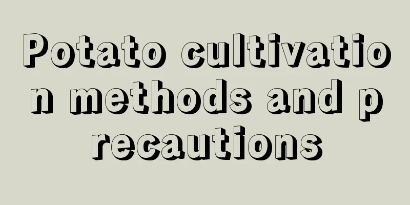 Potato cultivation methods and precautions