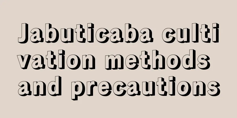 Jabuticaba cultivation methods and precautions