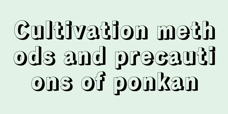 Cultivation methods and precautions of ponkan