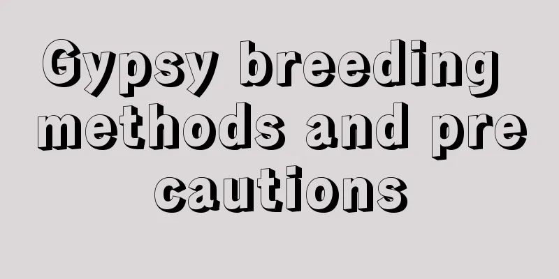 Gypsy breeding methods and precautions