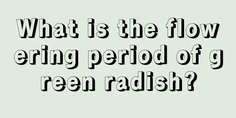 What is the flowering period of green radish?