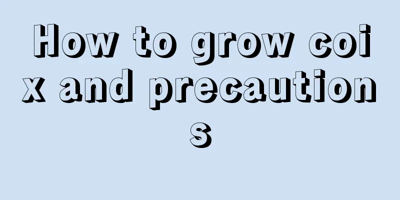 How to grow coix and precautions