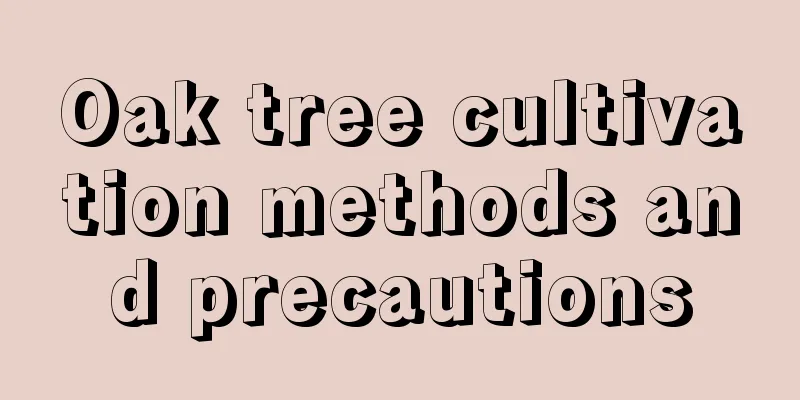 Oak tree cultivation methods and precautions