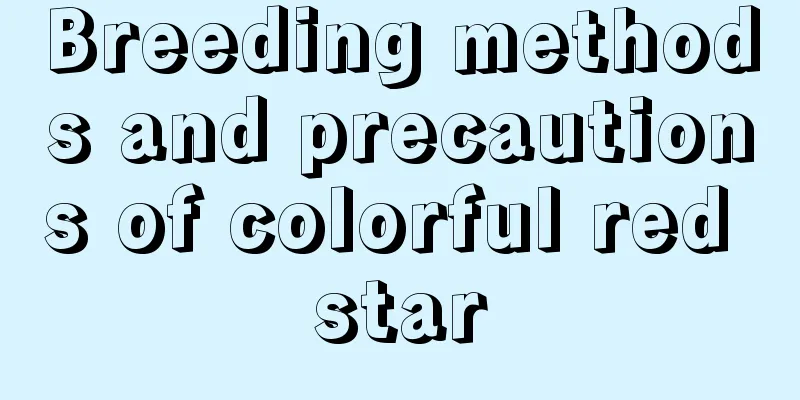 Breeding methods and precautions of colorful red star