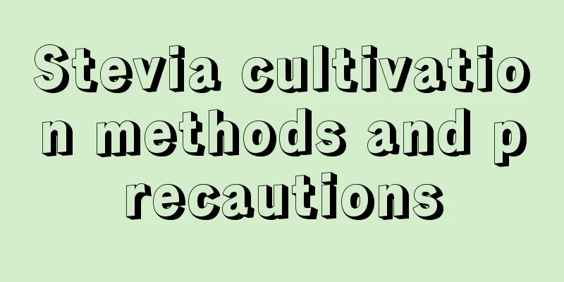 Stevia cultivation methods and precautions