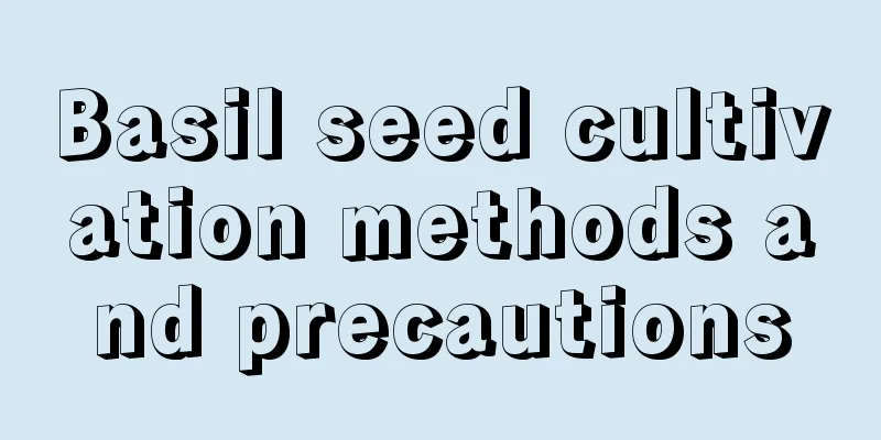 Basil seed cultivation methods and precautions