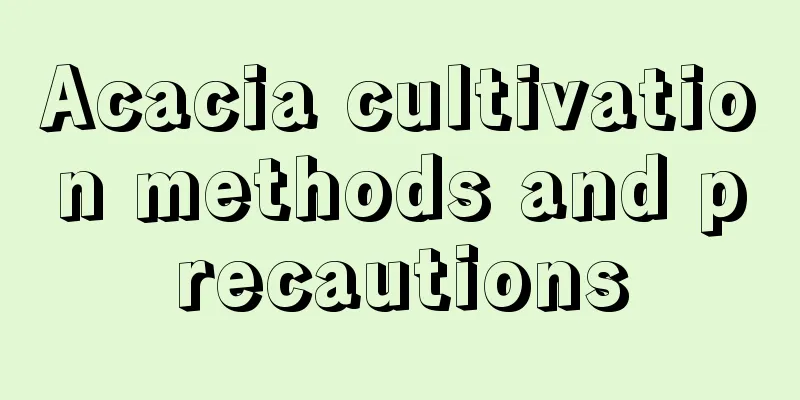 Acacia cultivation methods and precautions