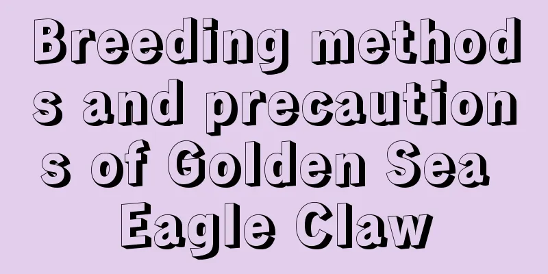 Breeding methods and precautions of Golden Sea Eagle Claw