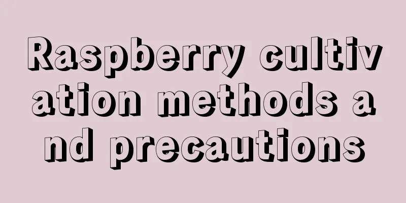 Raspberry cultivation methods and precautions