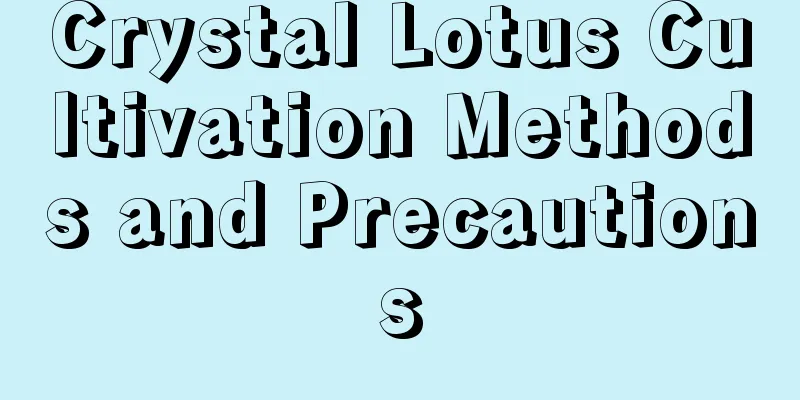 Crystal Lotus Cultivation Methods and Precautions