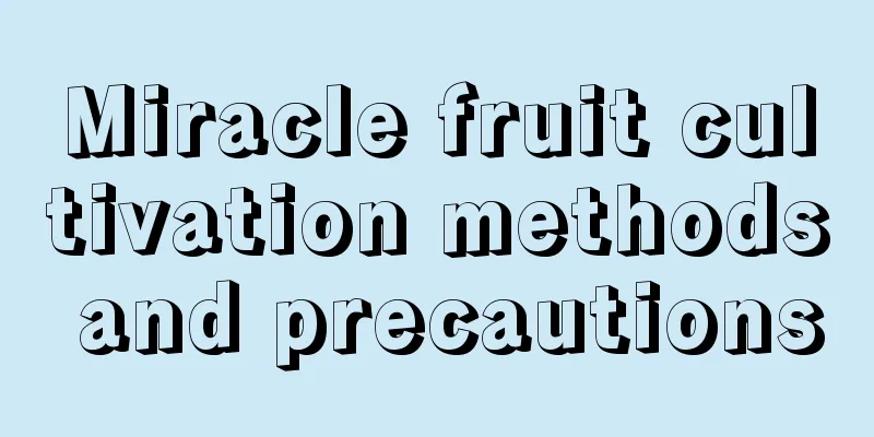 Miracle fruit cultivation methods and precautions