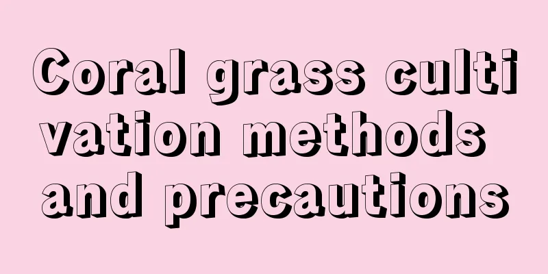 Coral grass cultivation methods and precautions