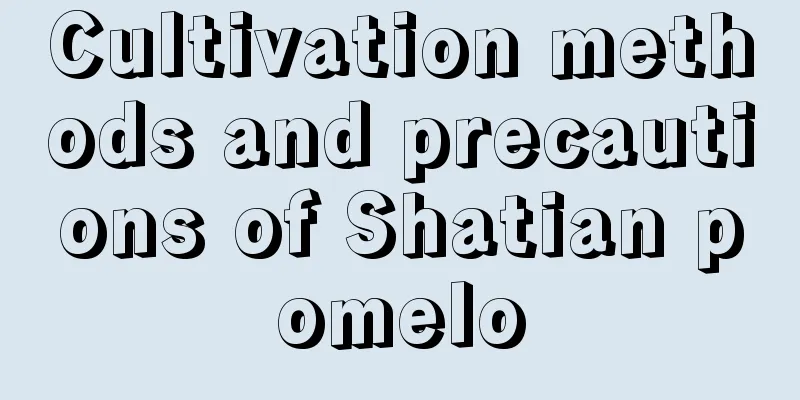 Cultivation methods and precautions of Shatian pomelo