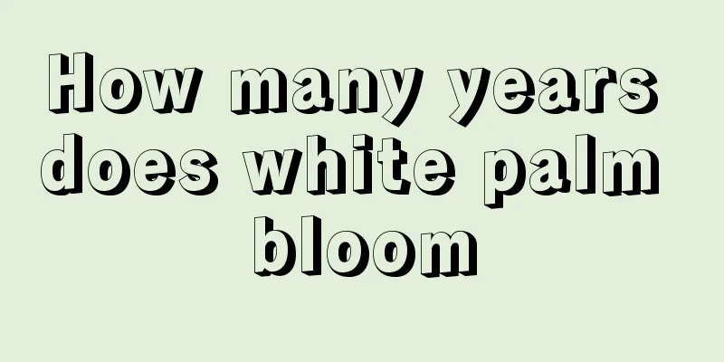 How many years does white palm bloom