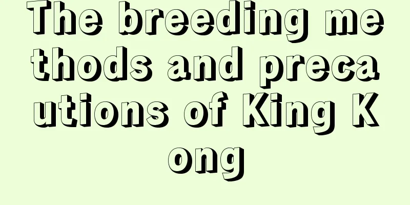 The breeding methods and precautions of King Kong