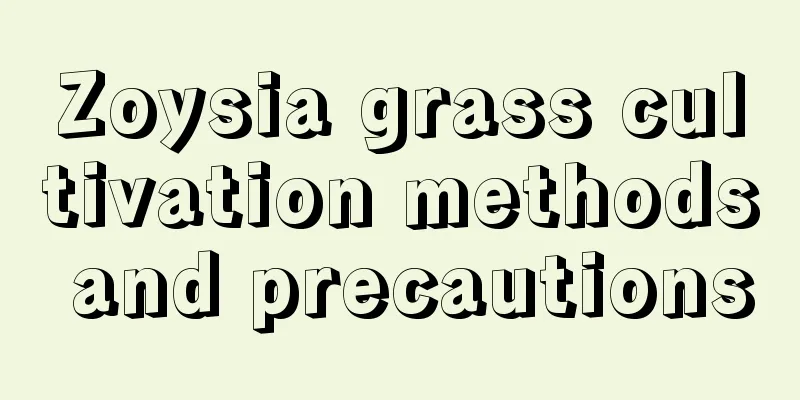 Zoysia grass cultivation methods and precautions