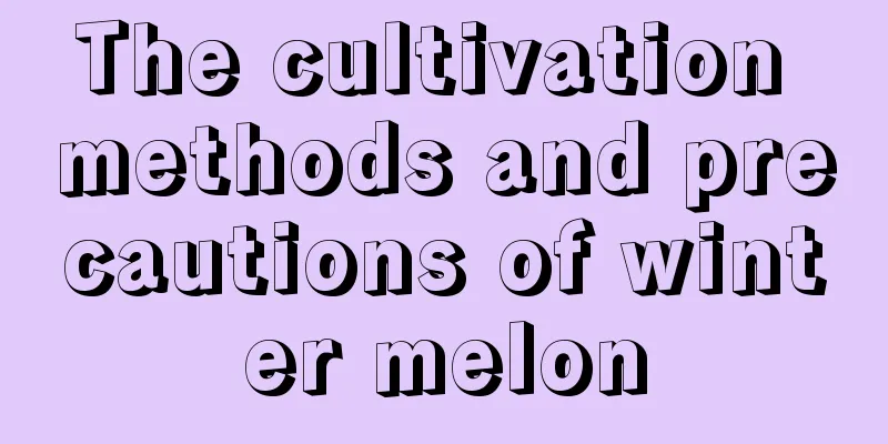 The cultivation methods and precautions of winter melon