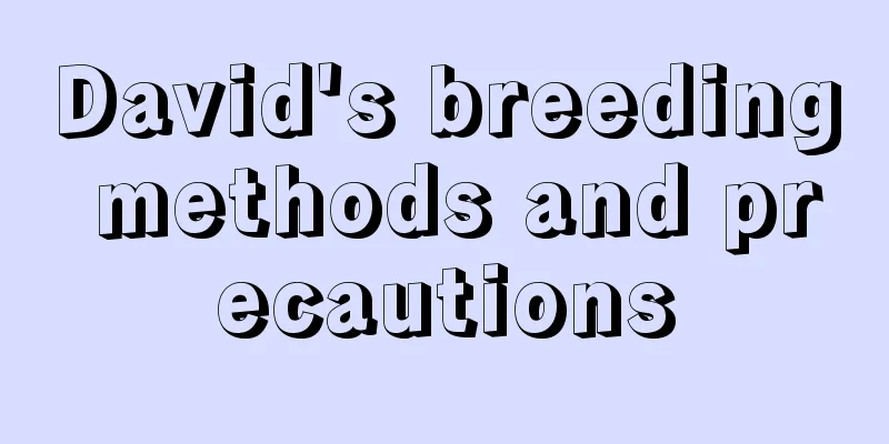 David's breeding methods and precautions