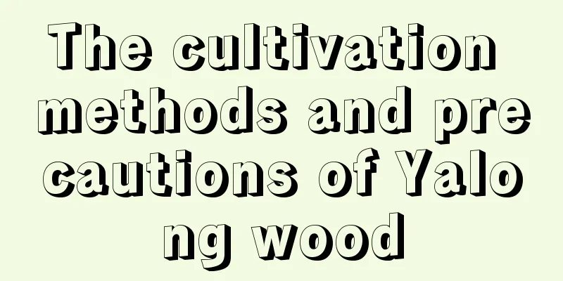 The cultivation methods and precautions of Yalong wood