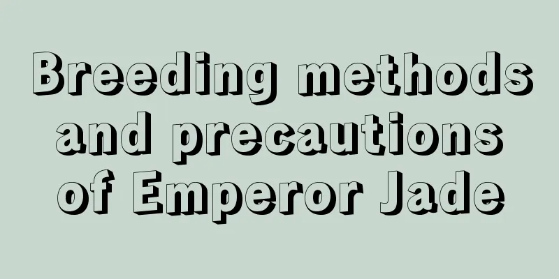 Breeding methods and precautions of Emperor Jade