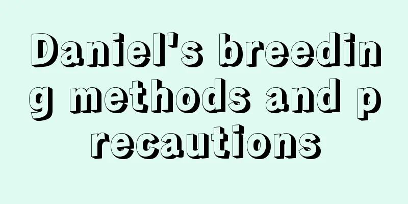 Daniel's breeding methods and precautions