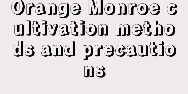 Orange Monroe cultivation methods and precautions