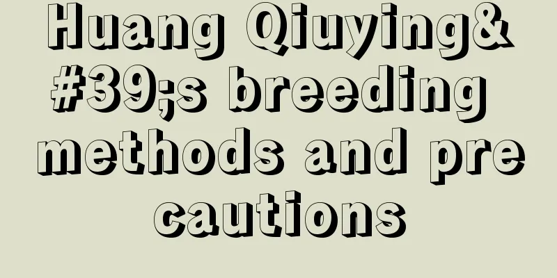 Huang Qiuying's breeding methods and precautions