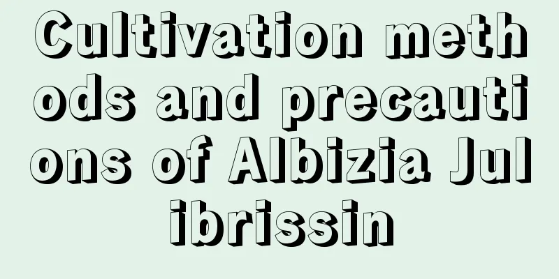 Cultivation methods and precautions of Albizia Julibrissin