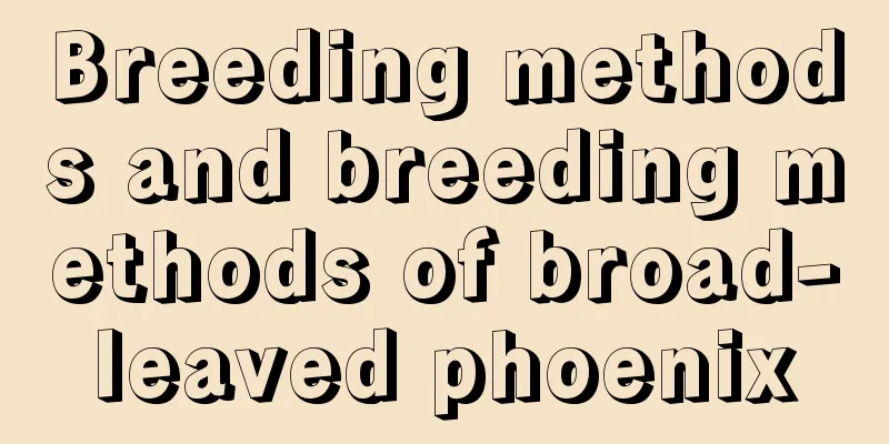 Breeding methods and breeding methods of broad-leaved phoenix