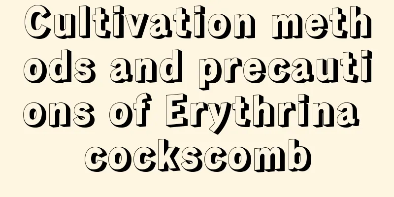 Cultivation methods and precautions of Erythrina cockscomb