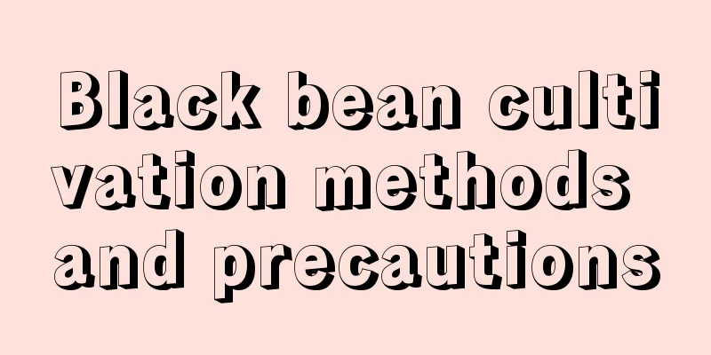 Black bean cultivation methods and precautions