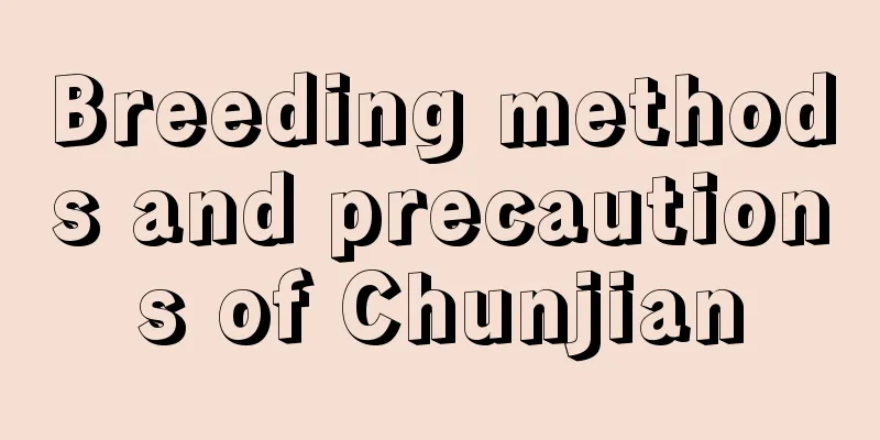 Breeding methods and precautions of Chunjian