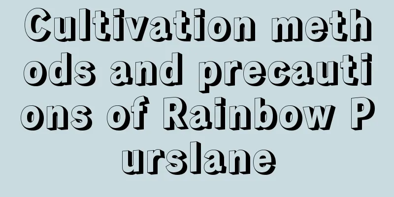 Cultivation methods and precautions of Rainbow Purslane