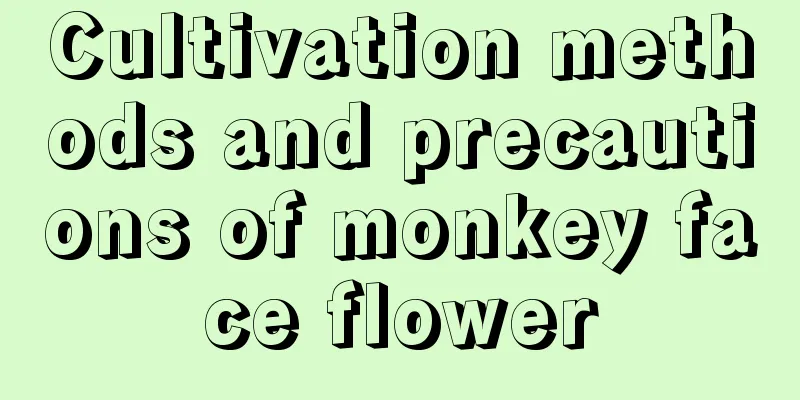 Cultivation methods and precautions of monkey face flower