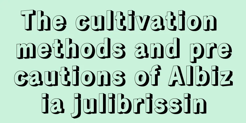 The cultivation methods and precautions of Albizia julibrissin