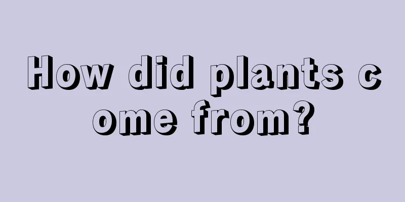 How did plants come from?