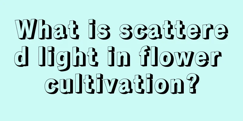 What is scattered light in flower cultivation?