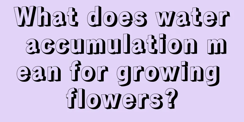 What does water accumulation mean for growing flowers?