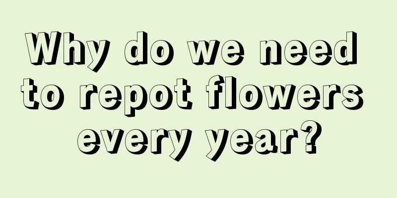 Why do we need to repot flowers every year?