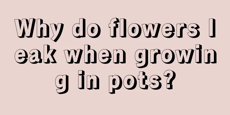 Why do flowers leak when growing in pots?