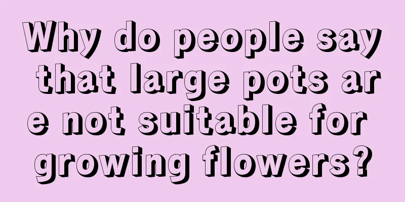 Why do people say that large pots are not suitable for growing flowers?