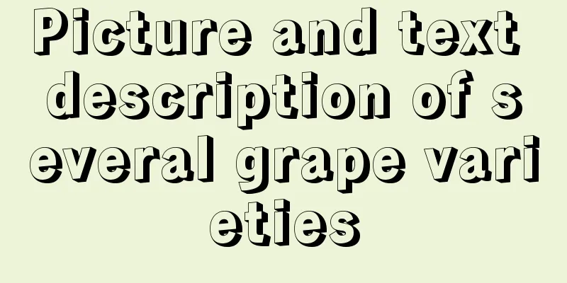 Picture and text description of several grape varieties