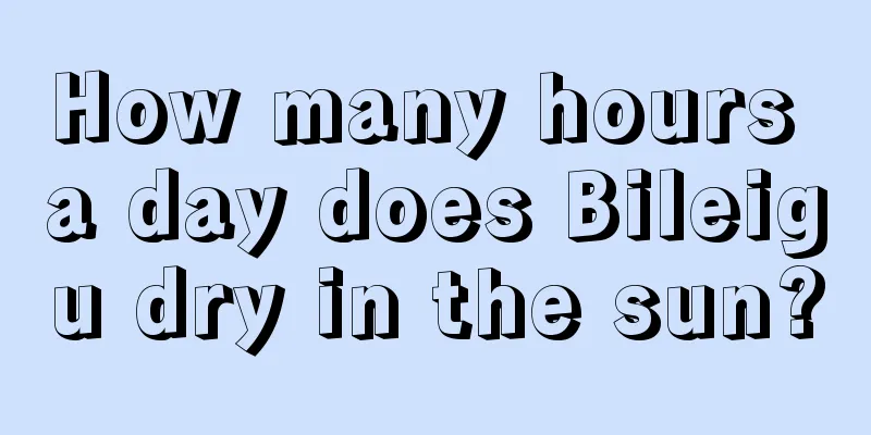 How many hours a day does Bileigu dry in the sun?