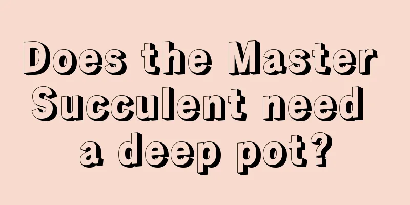 Does the Master Succulent need a deep pot?