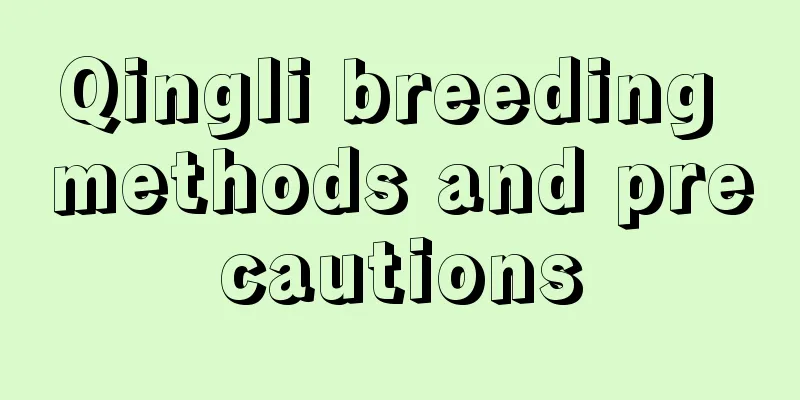 Qingli breeding methods and precautions