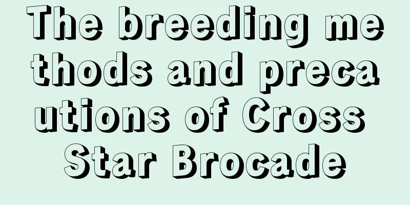 The breeding methods and precautions of Cross Star Brocade