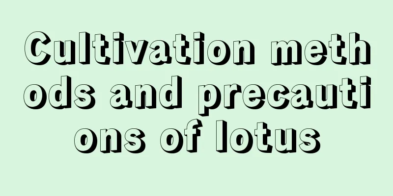 Cultivation methods and precautions of lotus